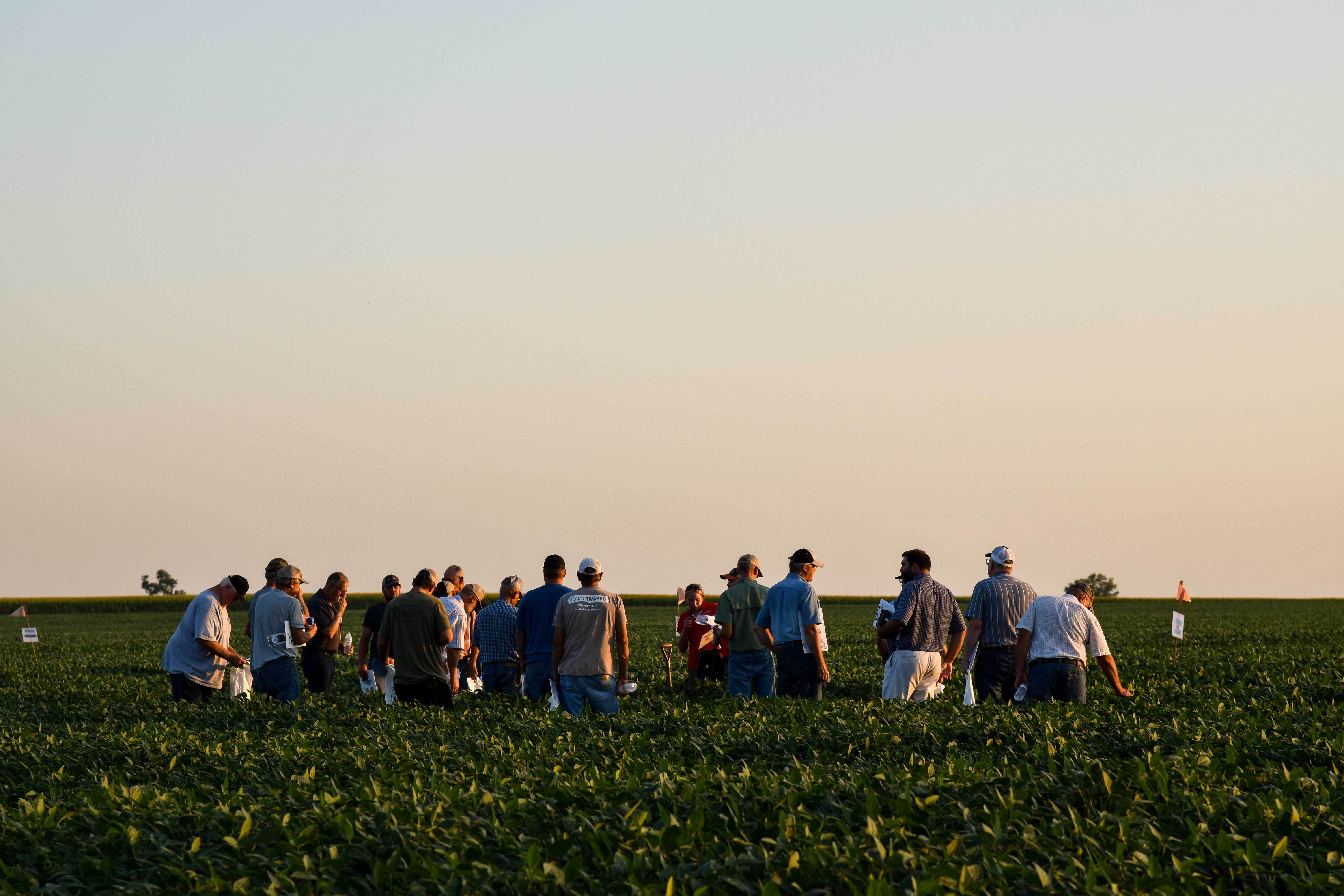 2025 Soybean Management Field Days