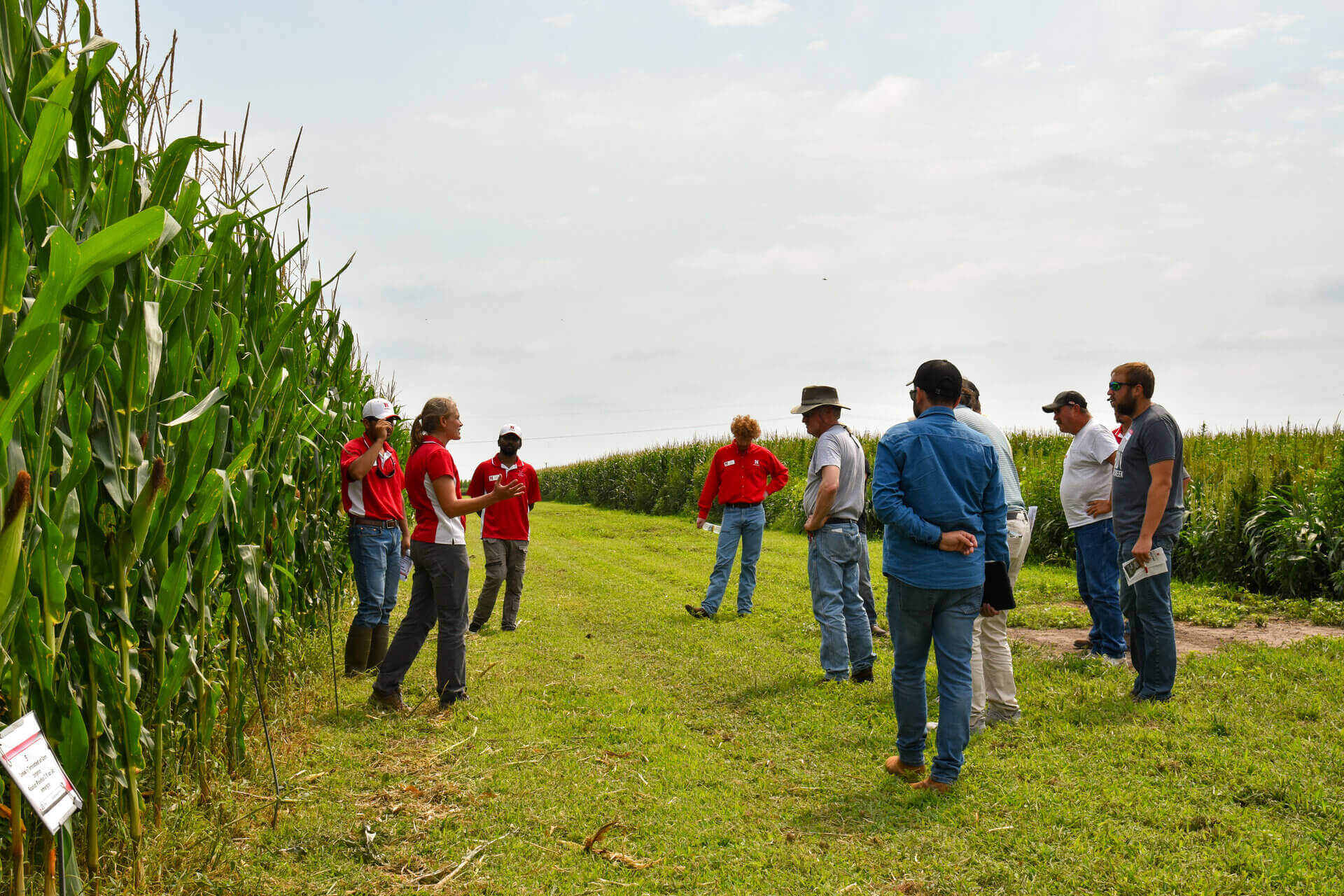 Group gathered in front of corn field trial for experiential discussion