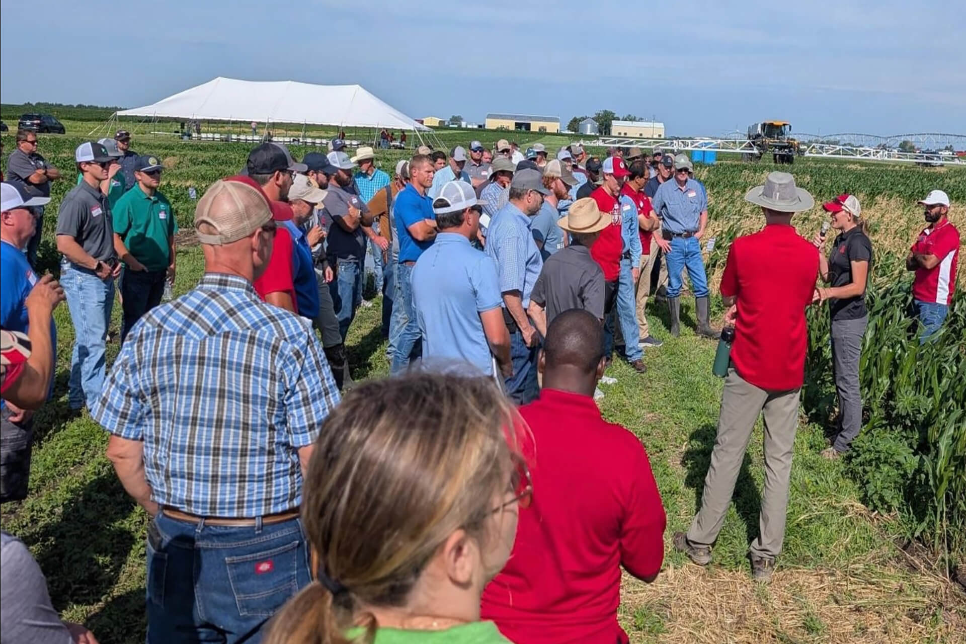A large crowd of producers listen to an in-field presentation during the SCAL Weed Management Field Day