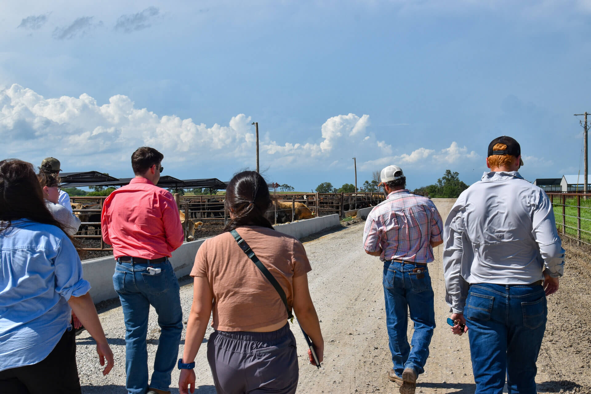 Clearpath group walking by cattle pens at KFIC