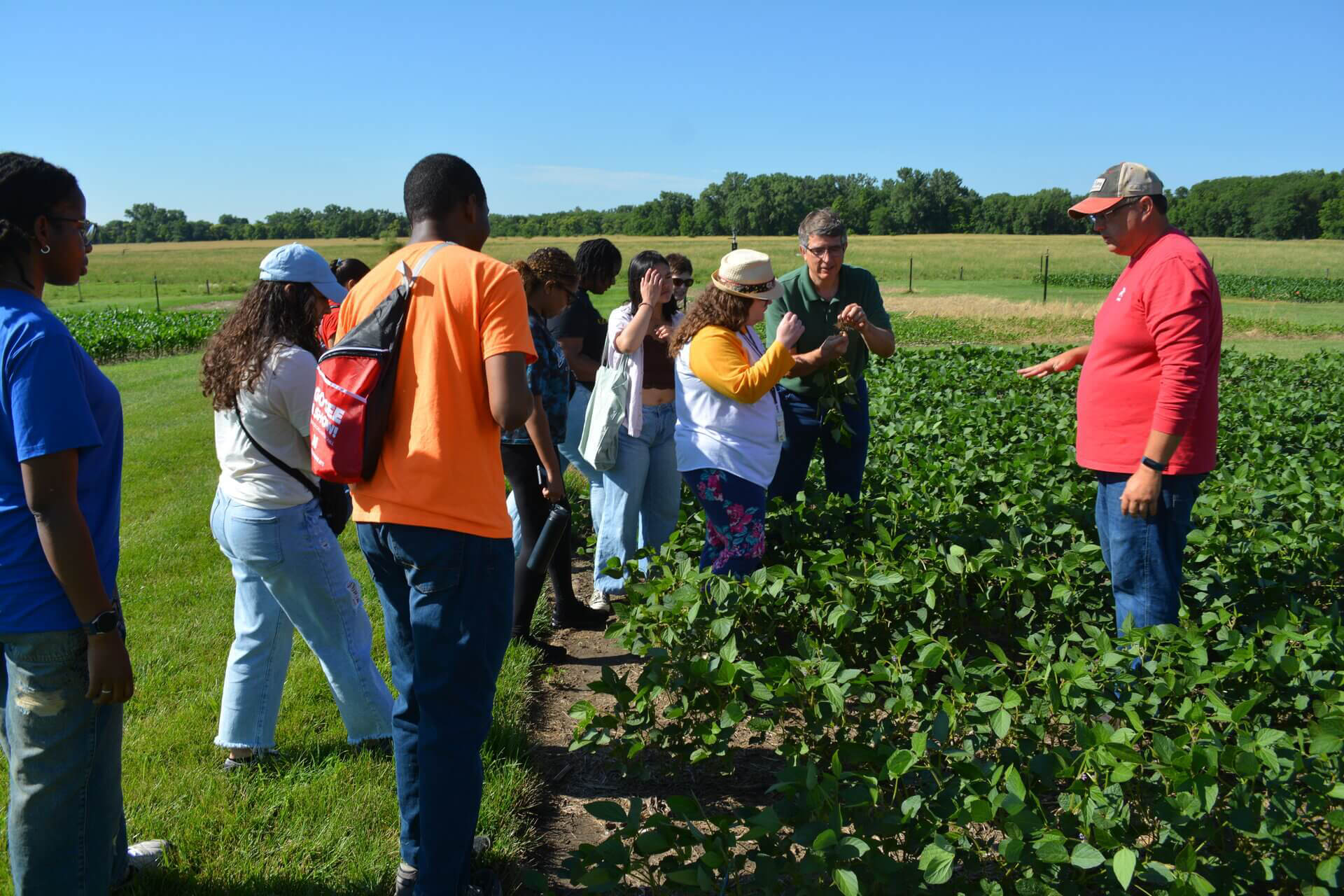 Crop to Innovation students getting close up looks at soybeans as Edgar Cahoon and Aaron Nygren discuss crop production in Nebraska.