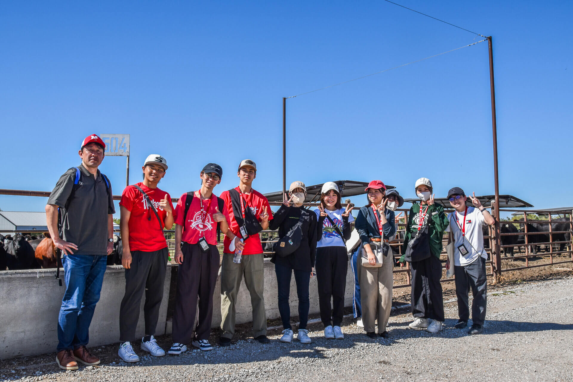 Kobe Japan Tour group at Feedlot