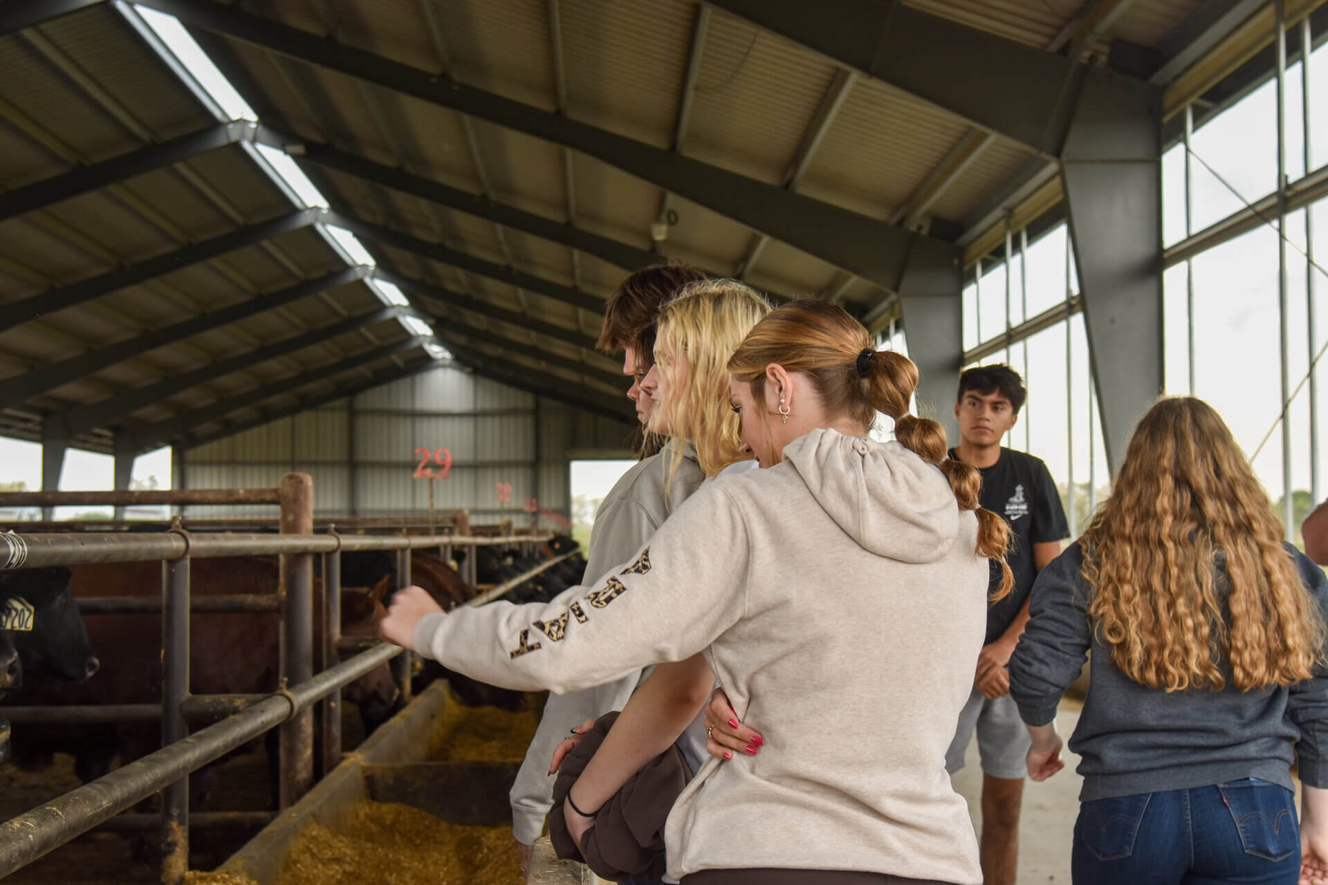 Mead animal science class at feedlot