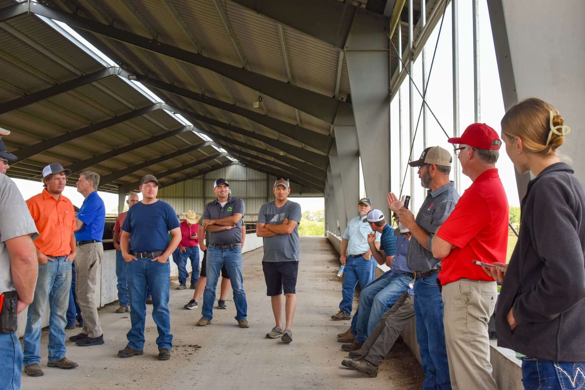 Group discussion in cattle comfort barn alley