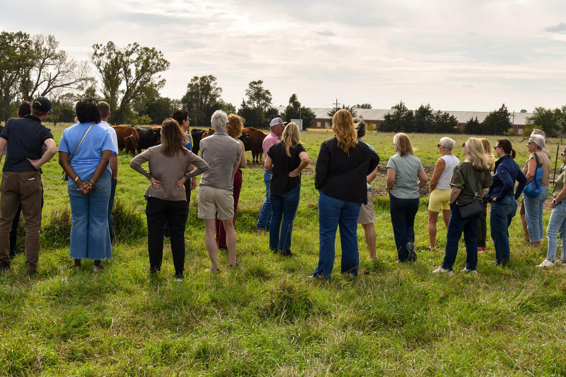 OPPD ag education tour at Beef systems cow/calf pasture