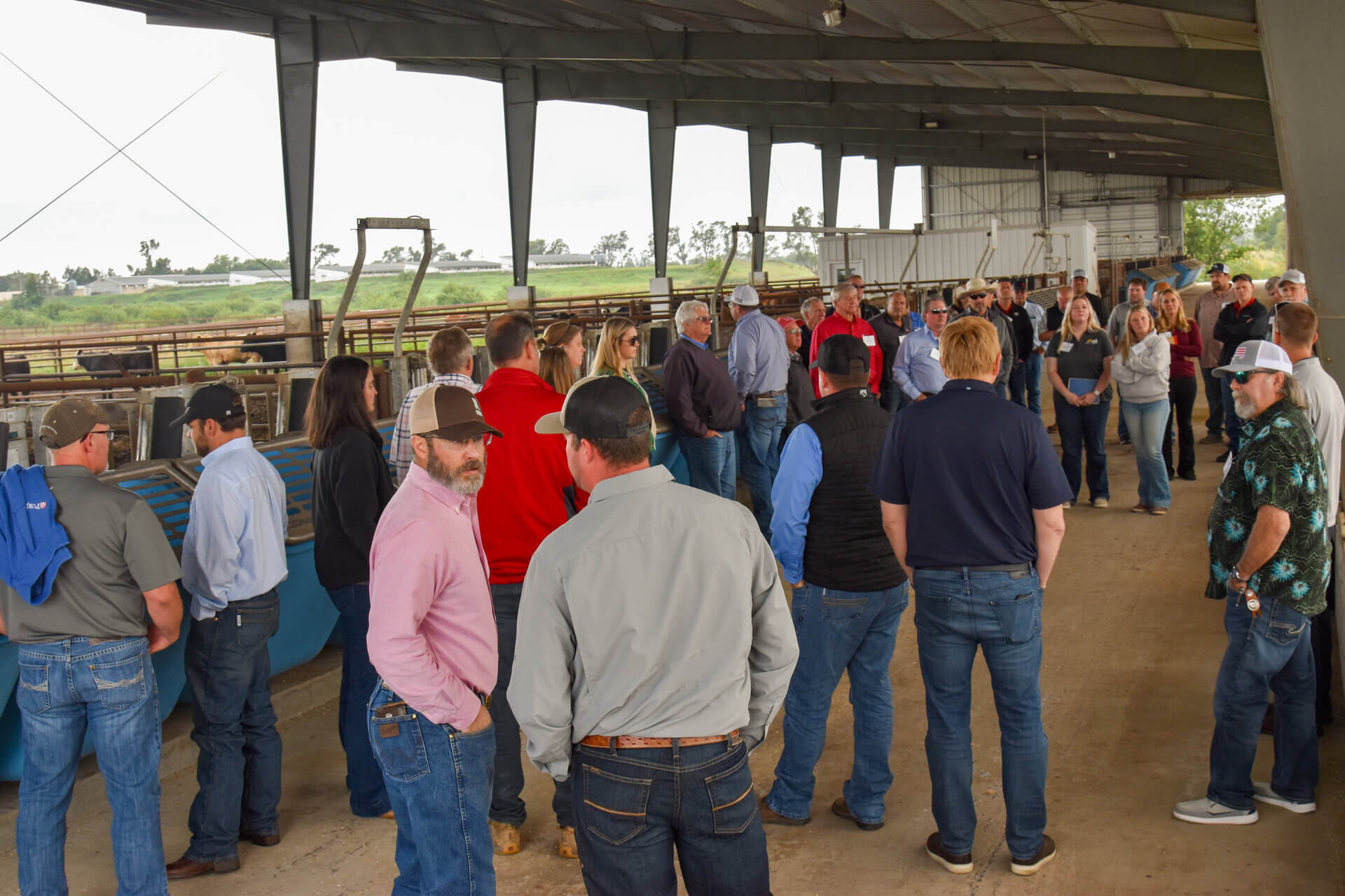 Purina reps touring feedlot facility 