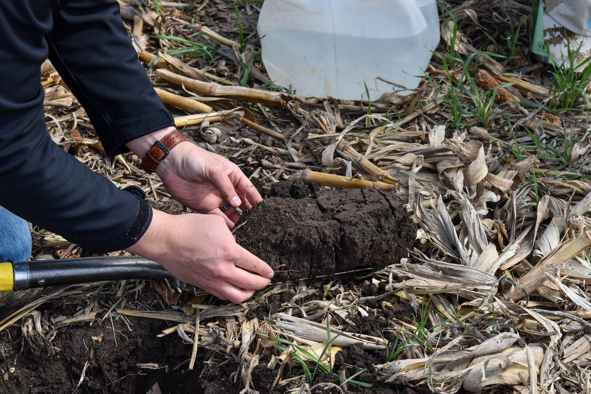Hands holding soil sample 