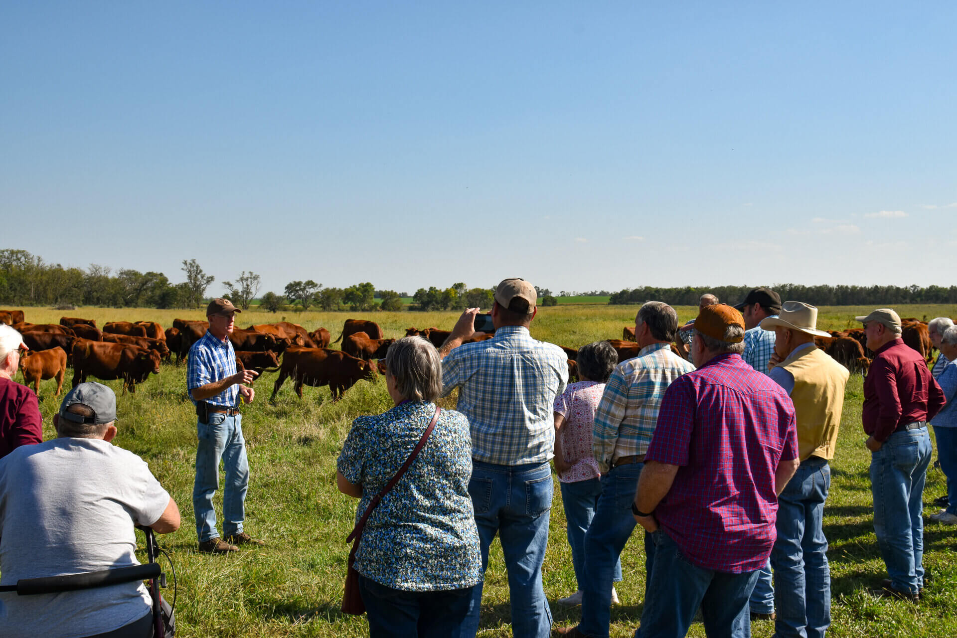 Cattlemen group discussing ENREEC Cow/Calf Unit practices in cow-calf pasture 