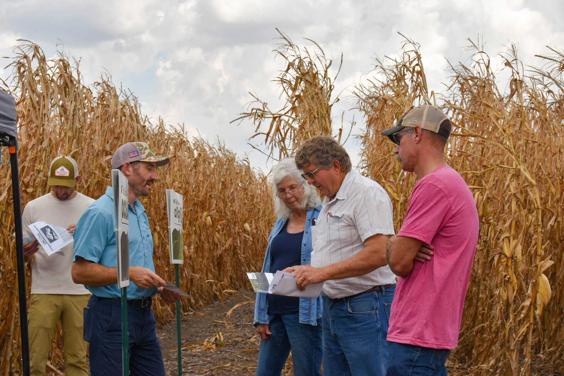 participants in TAPS field 