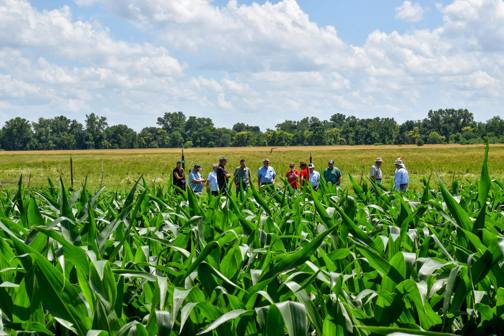 Group by research plots 