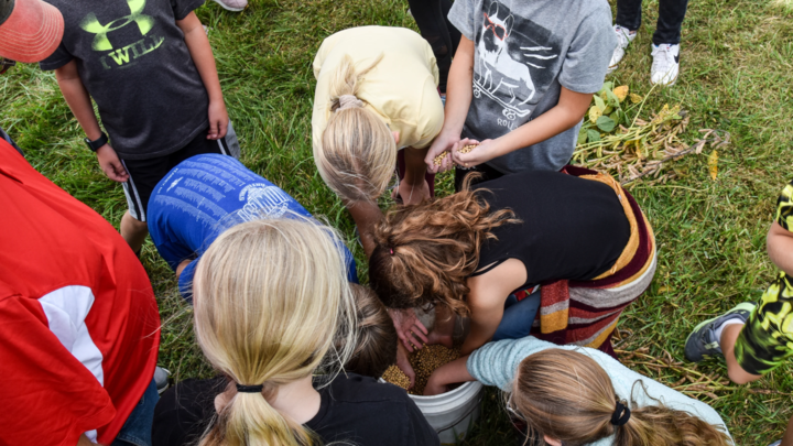 Growing Soybean Enthusiasts: Insights from the Summer Soybean Institute