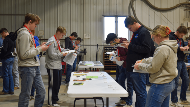 Haskell Ag Lab CDE Invitational students participate in a contest