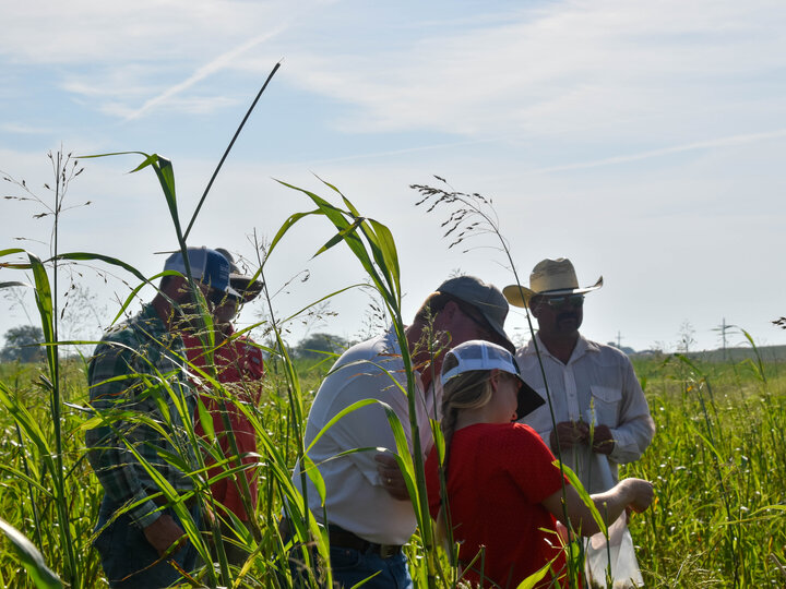 Forage systems strategies 