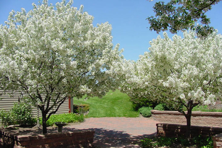 August N. Christenson Building - Courtyard