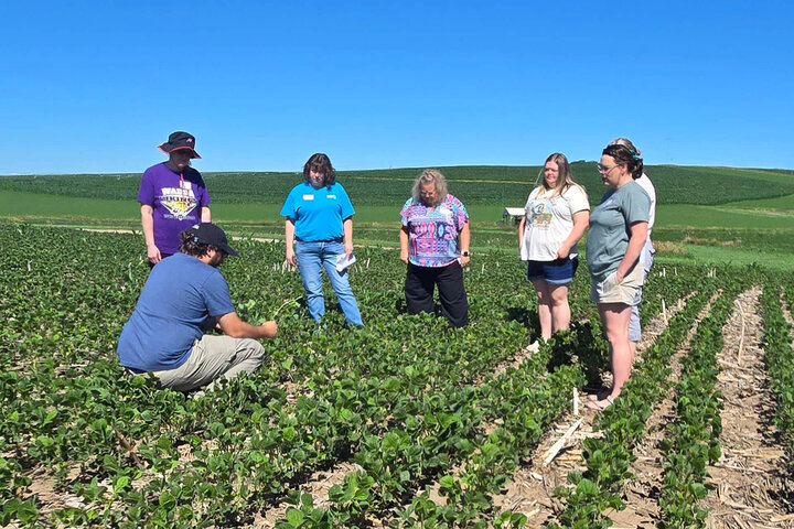 Summer Soybean Institute teachers getting hands-on training in soybean field at Haskell Ag Lab.