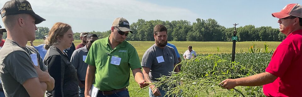 Crop Management Summer Header