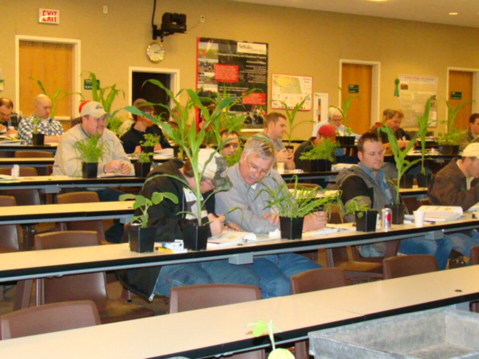 Classroom with people seated at desks, potted plants and papers on tables during crop scout training.