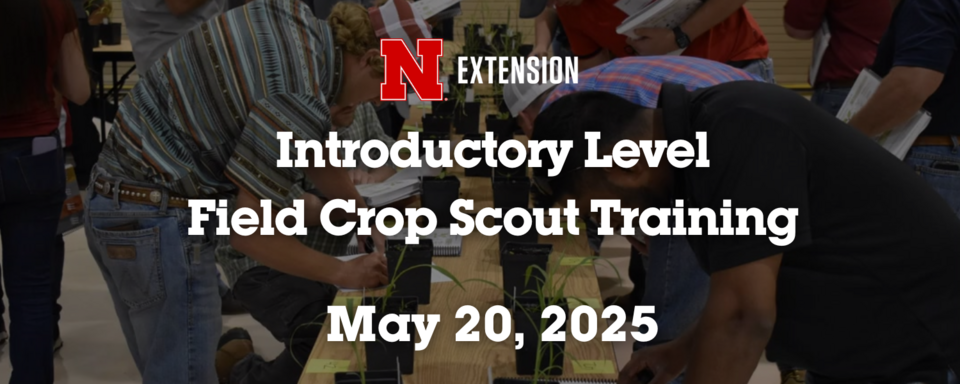 Nebraska Extension Introductory Level Field Crop Scout Training
